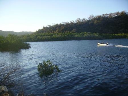 on va faire un tour à travers les mangroves, ok?